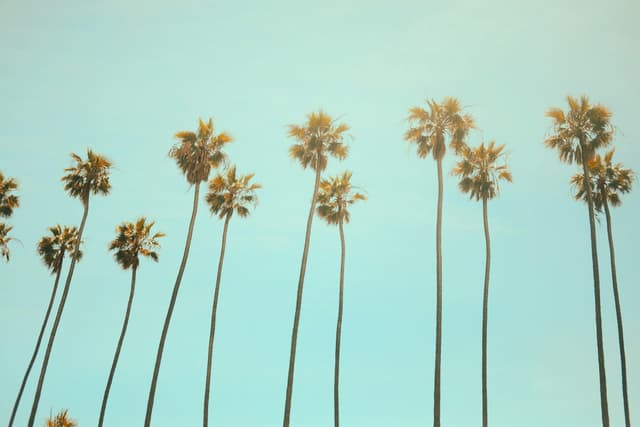 Thumbnail for Allocation Of The Purchase Price When Selling A California Small Business