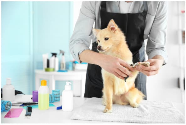 Business Image