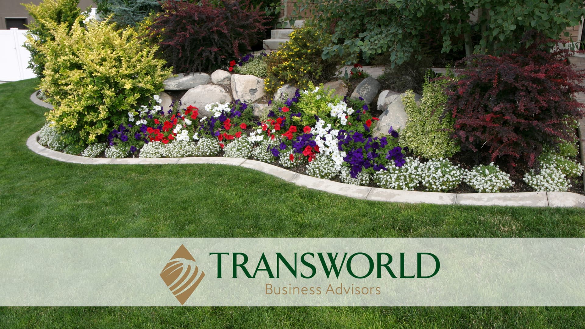 Business Image