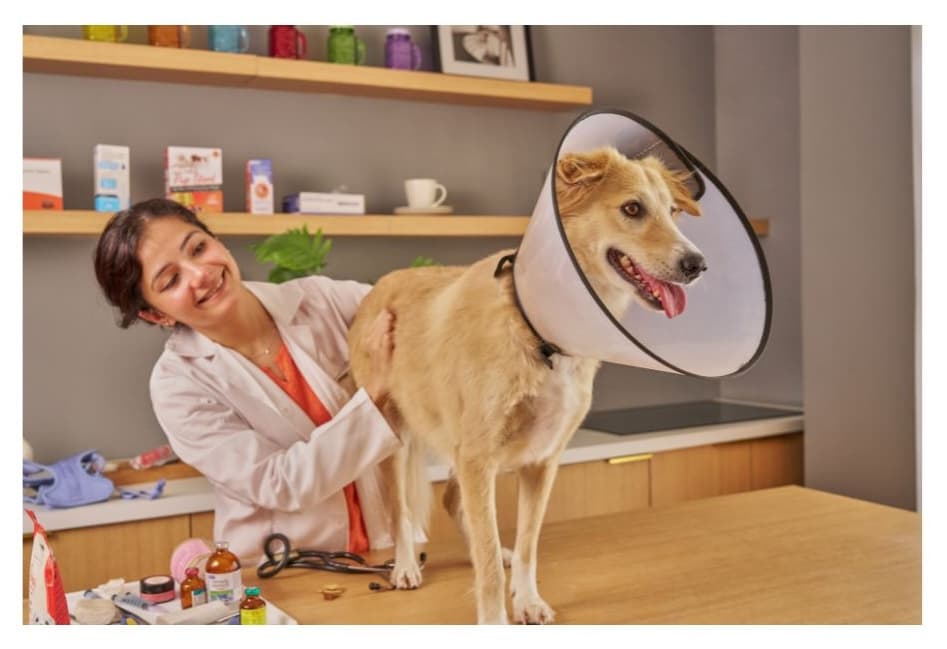 Business Image