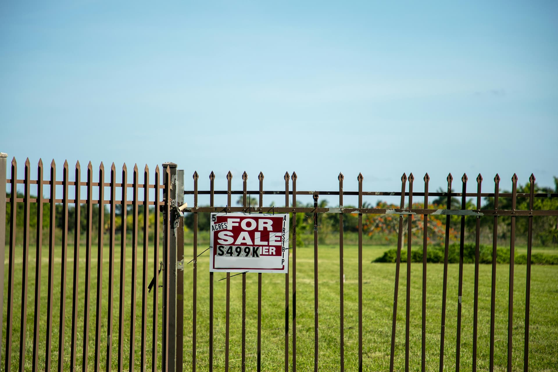 Business Image