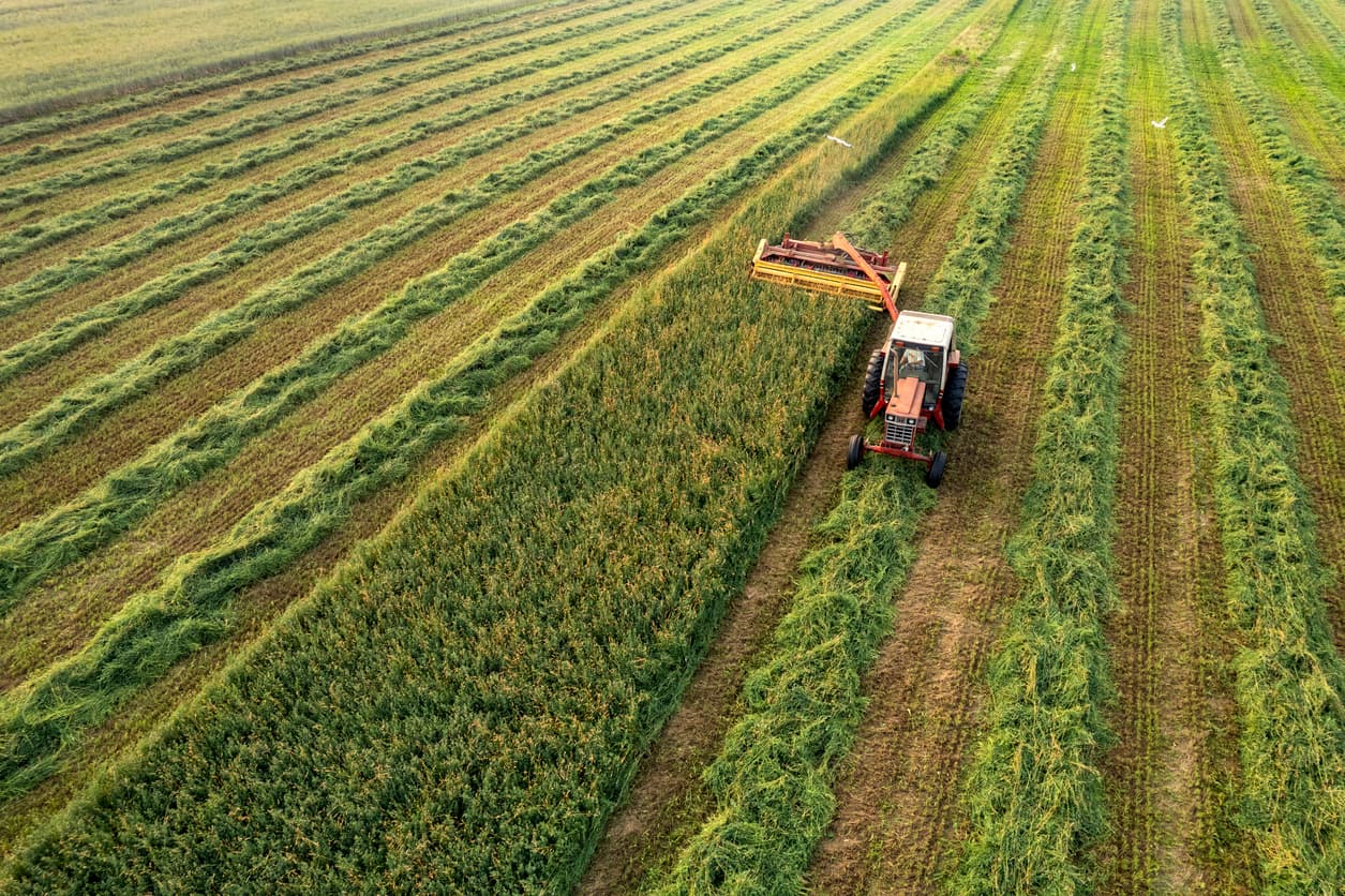 Photo or depiction of a agricultural business