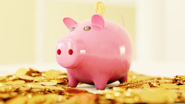 Thumbnail for Buying A Small Business: Earnest Money Deposits Should Be Reasonable