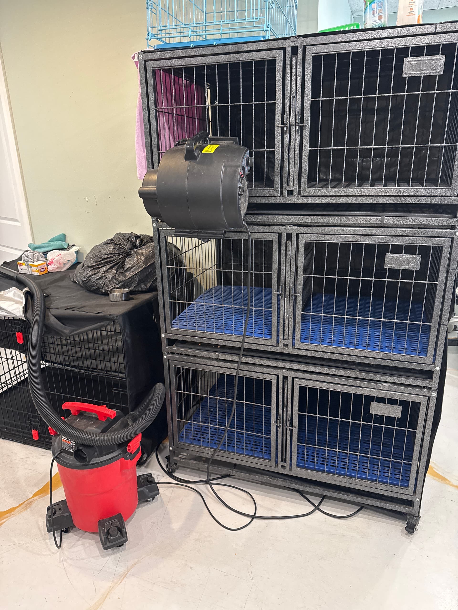 Photo or depiction of a pet business