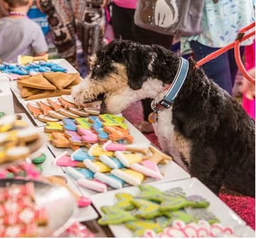 Photo or depiction of a pet business