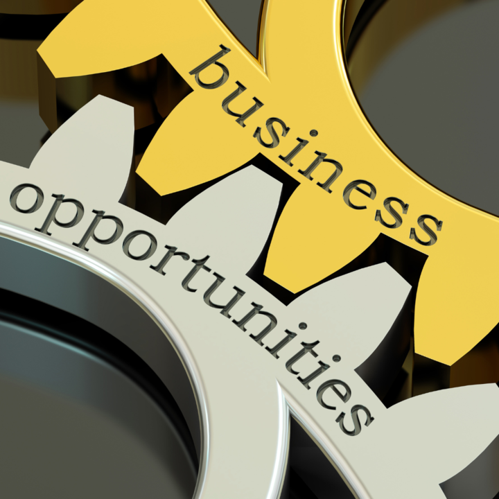 Business opportunities image