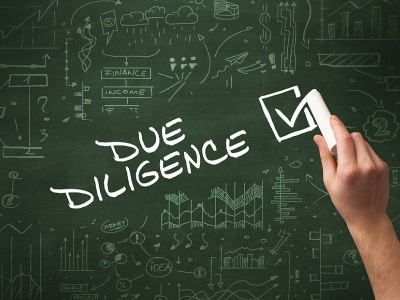 Due Diligence Services