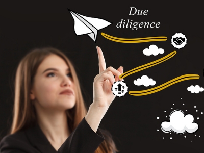 What Info Is Needed From A Seller For Due Diligence? How Many Days For Due Diligence?