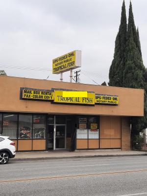 Orange County Area Pet Shop: Tropical Fish And Supplies - Established Business For Sale