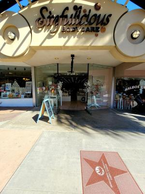 Palm Springs & San Diego Bodycare Service Companies For Sale