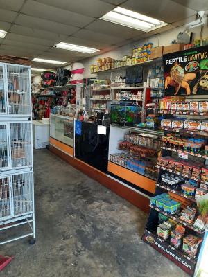 Los Angeles County Area Pet Store With Groomers - Aquariums, Supplies Companies For Sale