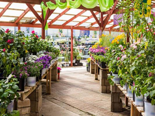 Los Angeles Exquisite Garden Store - Great Reputation Business For Sale