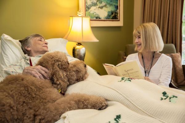 Los Angeles County Area Hospice - Established Nearly 20 Years In Business Business For Sale