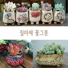 Selling A Los Angeles Flower Shop, Potted Plants, Cactus