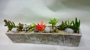 Flower Shop, Potted Plants, Cactus Business Opportunity