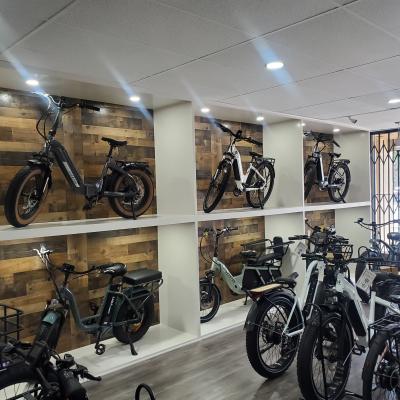 Electric Bike Shop - Asset Sale Company For Sale