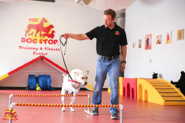  The Dog Stop - Dog Care Center Franchise Business For Sale