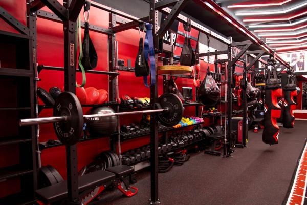 Punch King Fitness - Training Gym Franchise Business Opportunity