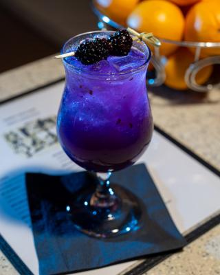 Cocktail Bar - Established 10+ Years, Vibrant