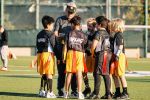 Youth Sports League - Strong Reputation