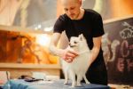 Pet Grooming And Store - Highly Rated