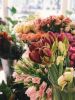 Retail Flower Shop - 30 Year History