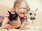 Veterinary Clinic - Highly Profitable