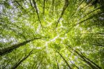 Pacific Northwest Environmental Contractor