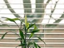 Home Decor Products Mfr and Wholesale