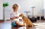 Veterinary Clinic