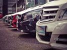 Used Car Dealer