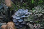 Landscape Design Installation and Service