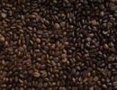 Coffee Roaster - With Wholesale Accounts