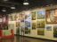 Framing and Art Gallery