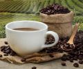 Coffee Shop - Well Established, Fully Remodeled