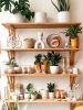 Home Decor Art And Plant Store - Retail, Ecommerce