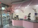Frozen Yogurt Shop - Asset Sale, Convertible