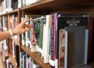 Owl and Company Bookstore