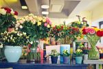 Flower Shop - Established, Profitable