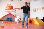 The Dog Stop - Dog Care Center Franchise