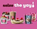 Baskin Robbins Ice Cream Franchise - Established
