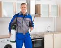 Pest Control - Right Business, Right Time