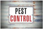 Pest Control - Right Business, Right Time