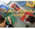Preschool Center - Profitable And Custom Designed