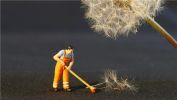 Carpet Cleaning - Fully Stocked Tools Supplies