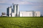 Feed Manufacturing Wholesale - 100 Yrs, High SDE