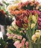 Profitable Florist - Celebrating Its 50th Year