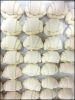 Wholesale Bakery - Frozen Dough Products