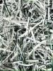 On Site Shredding Service - Well Established